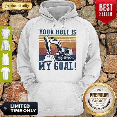 Official Your Hole Is My Goal Vintage Hoodie
