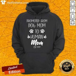 Awesome Promoted To Human Mom Hoodie