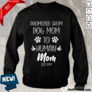 Awesome Promoted To Human Mom Sweatshirt