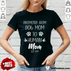 Awesome Promoted To Human Mom V-Neck