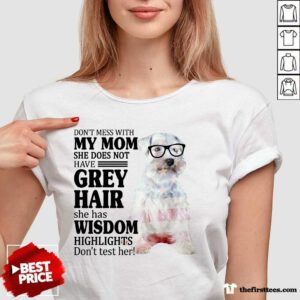 Funny Schnauzer She Does Not Have Grey Hair American Flag V-Neck