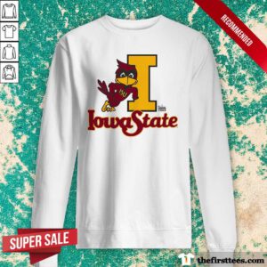 Pretty Ash Iowa State Leaning Cyclone Sweater