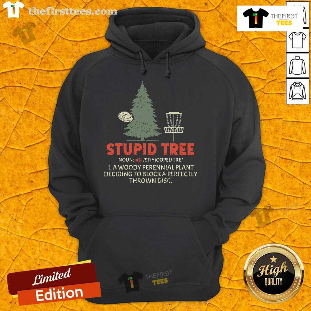King of Disc Golf hoodie featuring a unique 'Nice Stupid Tree Disc Golf' design, perfect for disc golf enthusiasts.