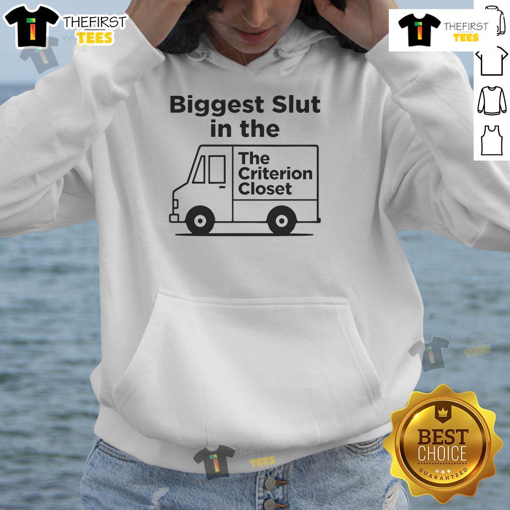 Stylish 'Nice Biggest Slut in the Criterion Closet' hoodie displayed on a hanger, perfect for trendy casual wear.