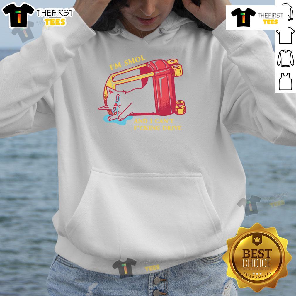 Funny 'I'm Smol and I Can't Drive' cute hoodie design featuring playful text and vibrant colors.