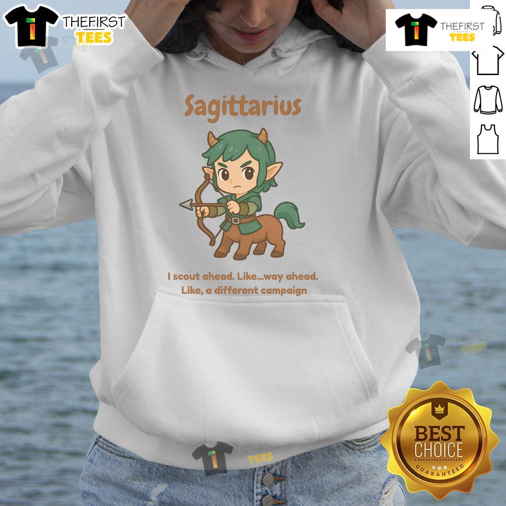 Alt Text: Cute Sagittarius centaur hoodie featuring a playful design, perfect for astrology lovers and cozy fashion enthusiasts.