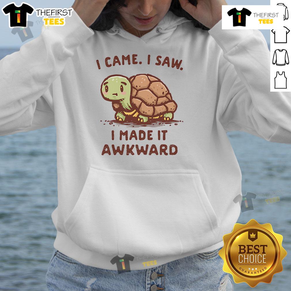 Cute turtle design on a hoodie featuring the phrase I Came, I Saw, I Made It Awkward for quirky fashion lovers.