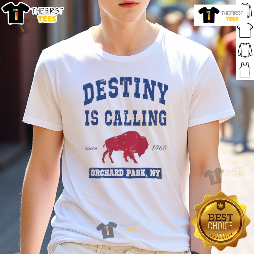 Good Buffalo Bills Destiny Is Calling Orchard Park Ny T-Shirt