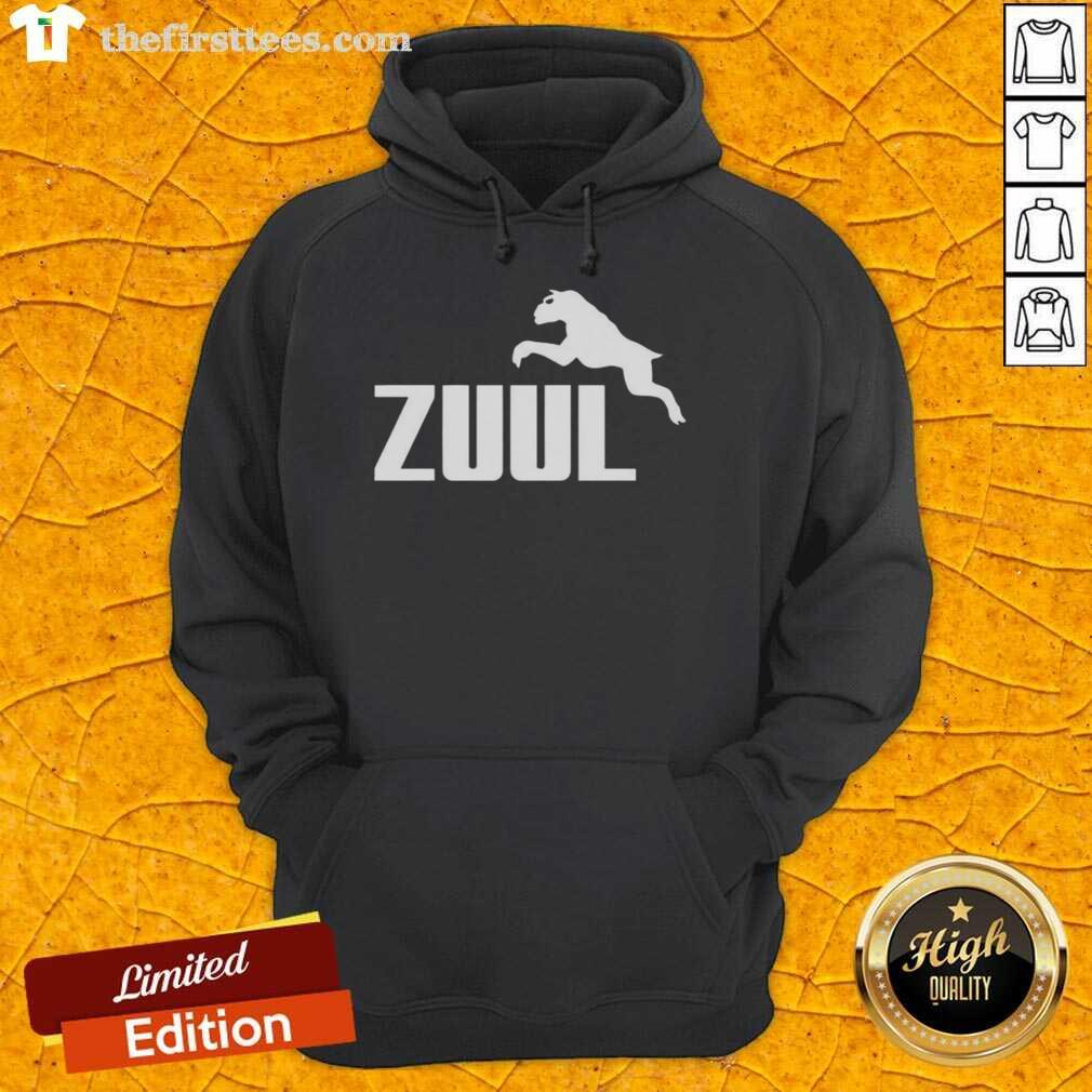 Top Zuul logo parody hoodie featuring a playful design and vibrant colors, perfect for fans of quirky apparel.
