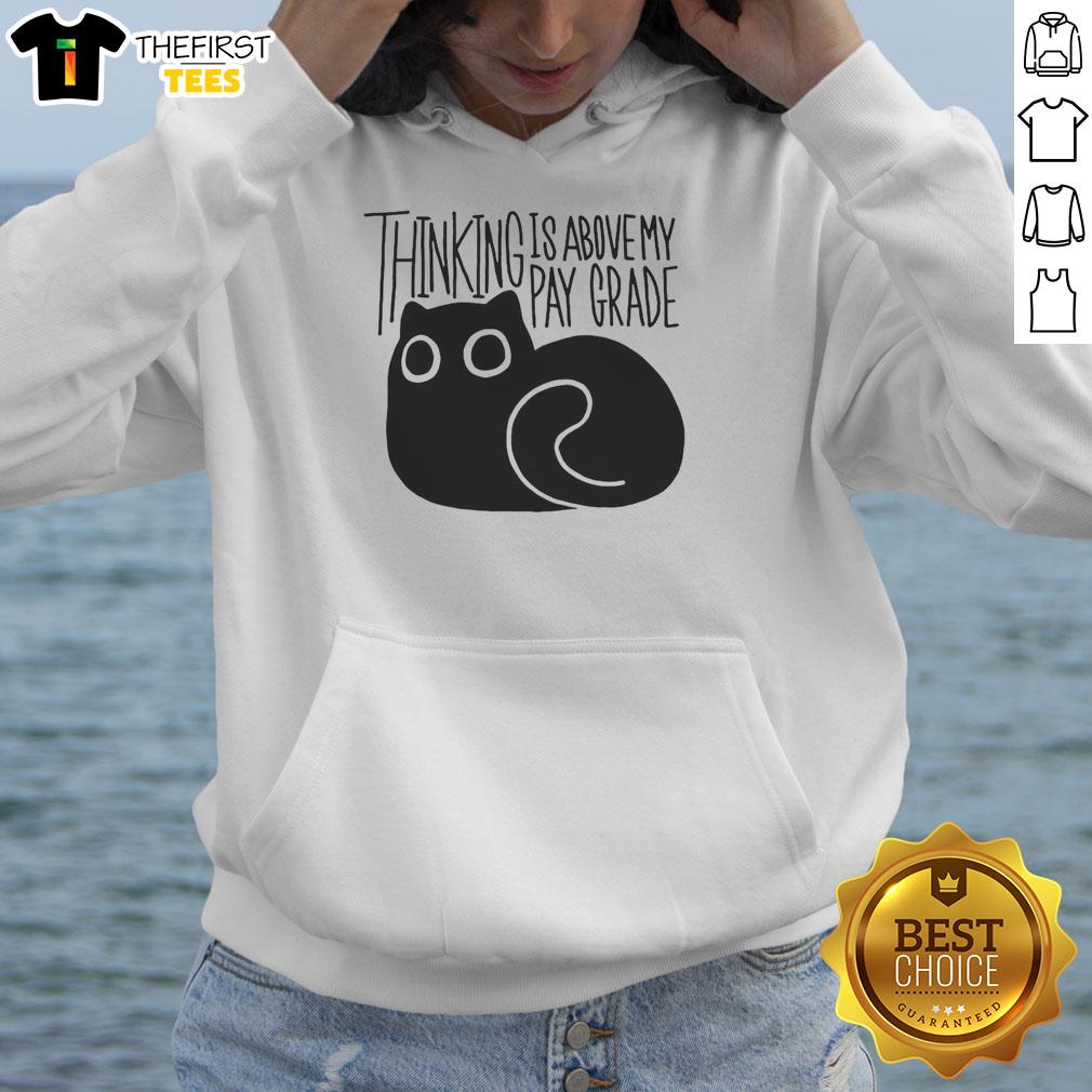 Happy cat in a cozy hoodie with 'Thinking Is Above My Parade' print, perfect for cat lovers and comfy fashion enthusiasts.
