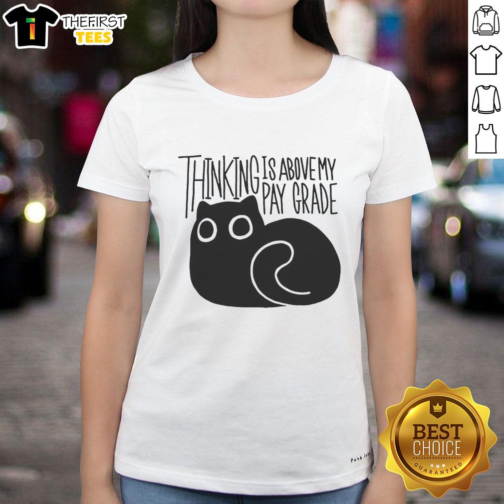Happy cat thinking with a humorous expression on a 'Is Above My Parade Ladies' tee shirt design.