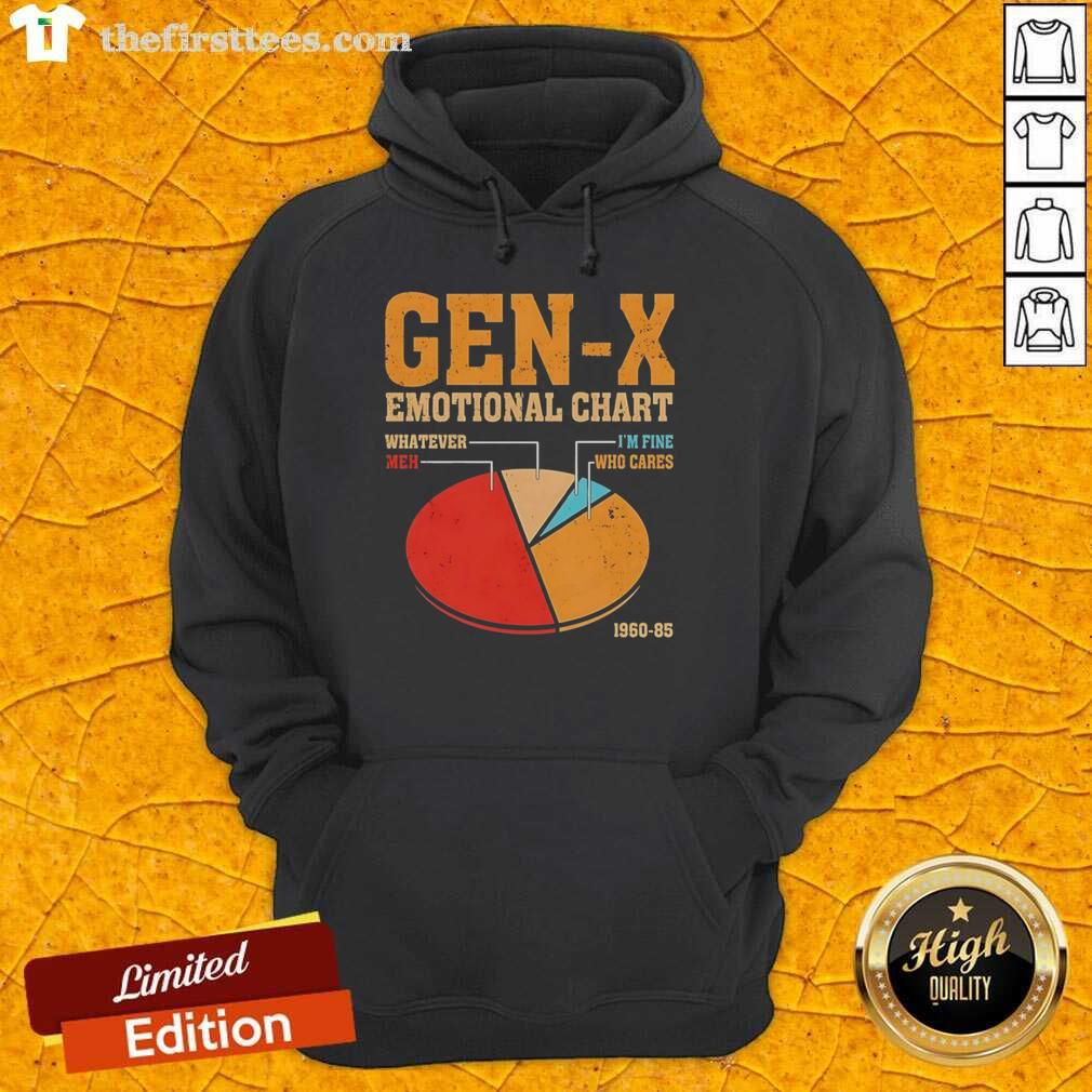 Vintage hoodie featuring the Top Gen X Emotional Chart 'Whatever Meh I'm Fine Who Cares' from 1960-85.