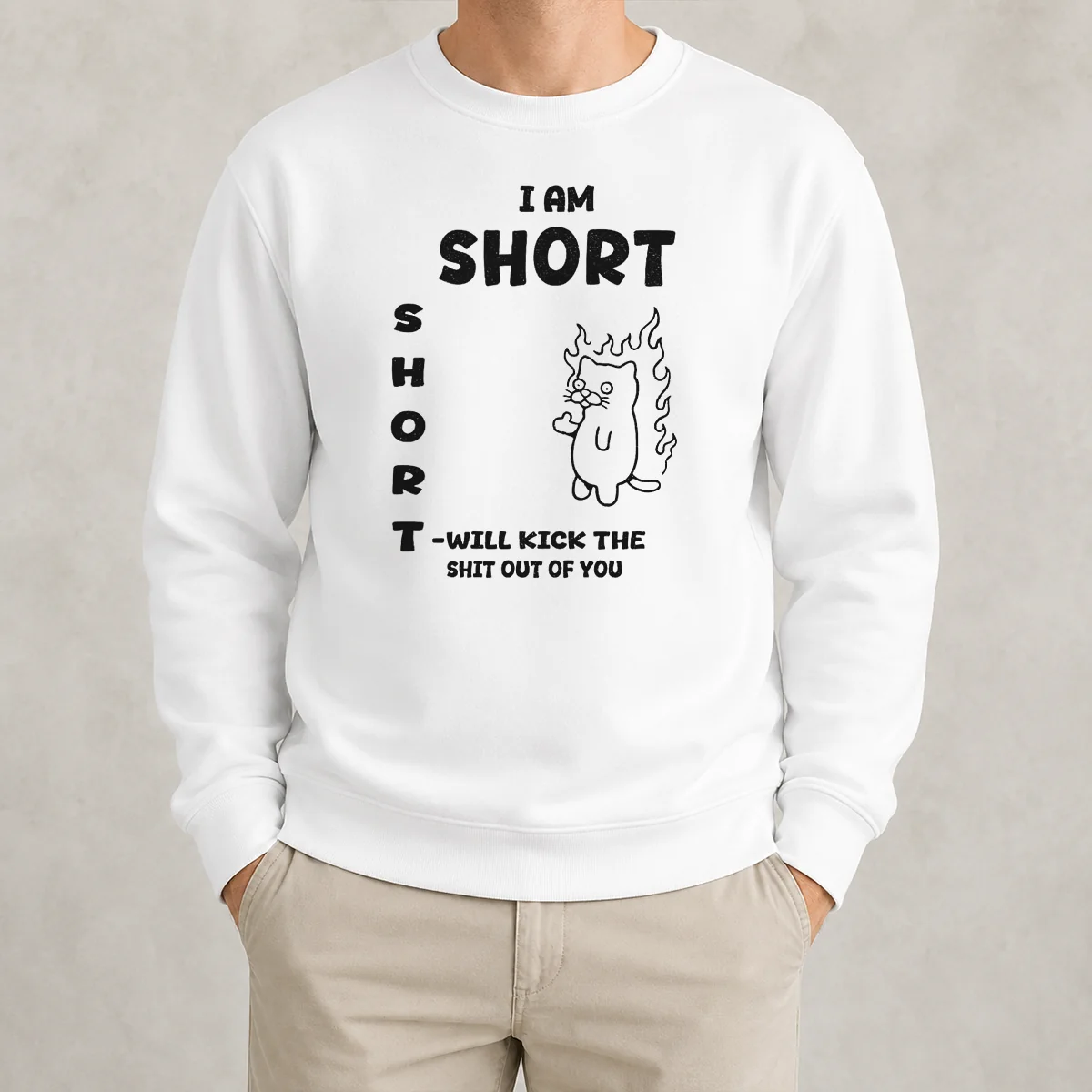 Awesome Official I Am Short Short Will Kick The Shit Out Of You Cat Sweater