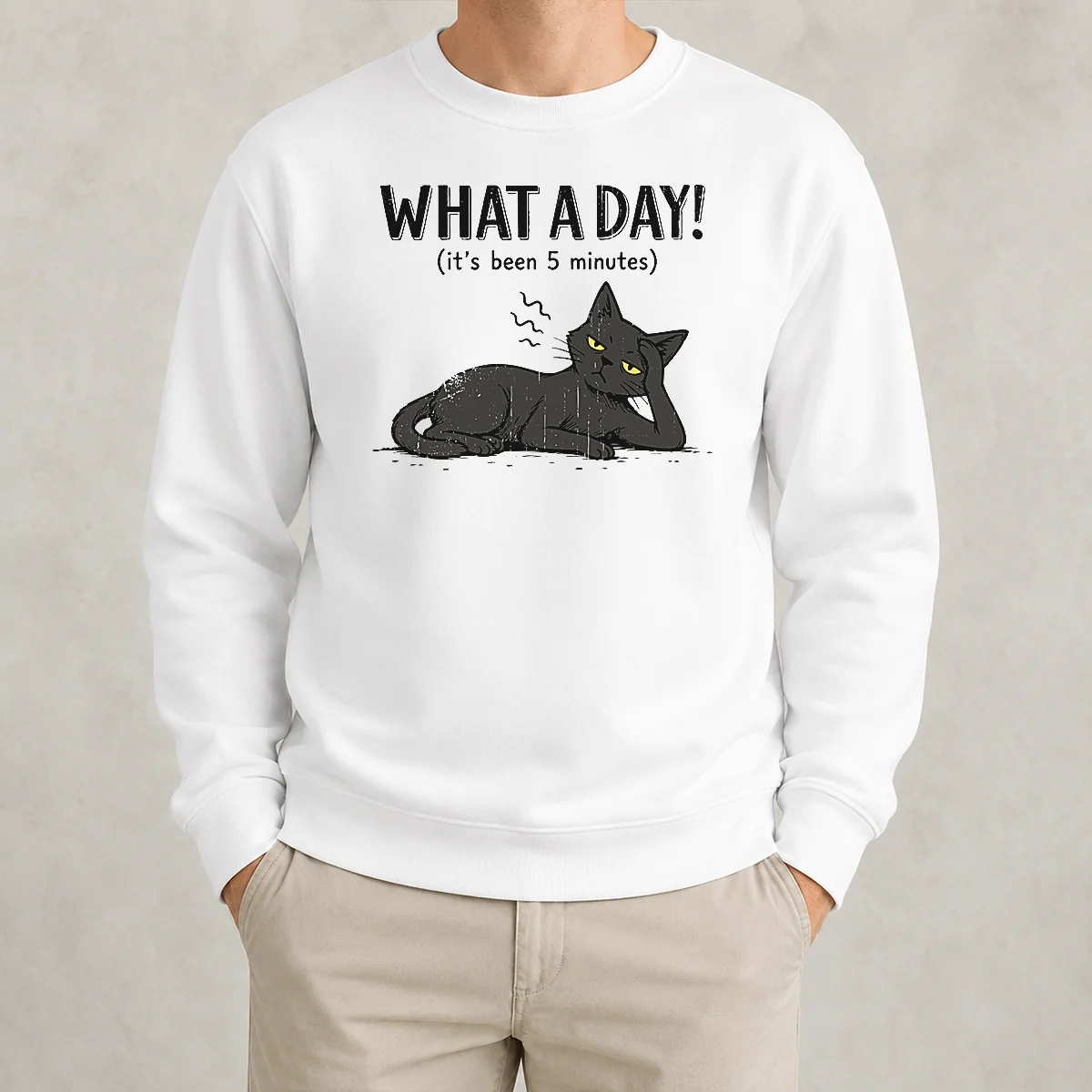 Pretty What A Day Cat It'S Been 5 Minutes Sweater